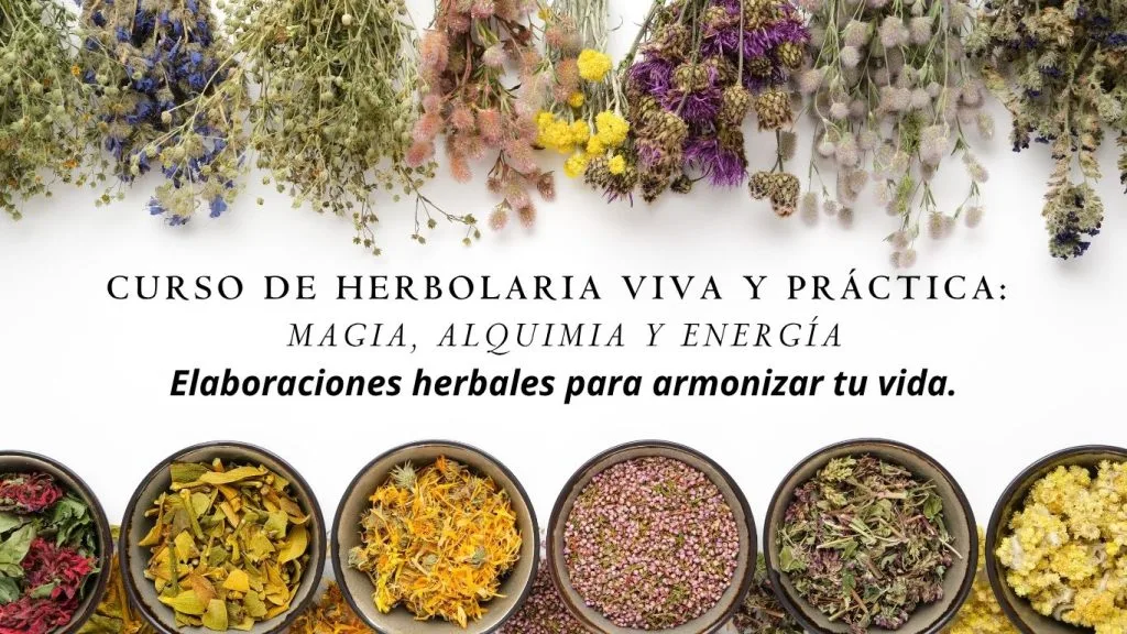 AIYA Instituto Yoga y Ayurveda