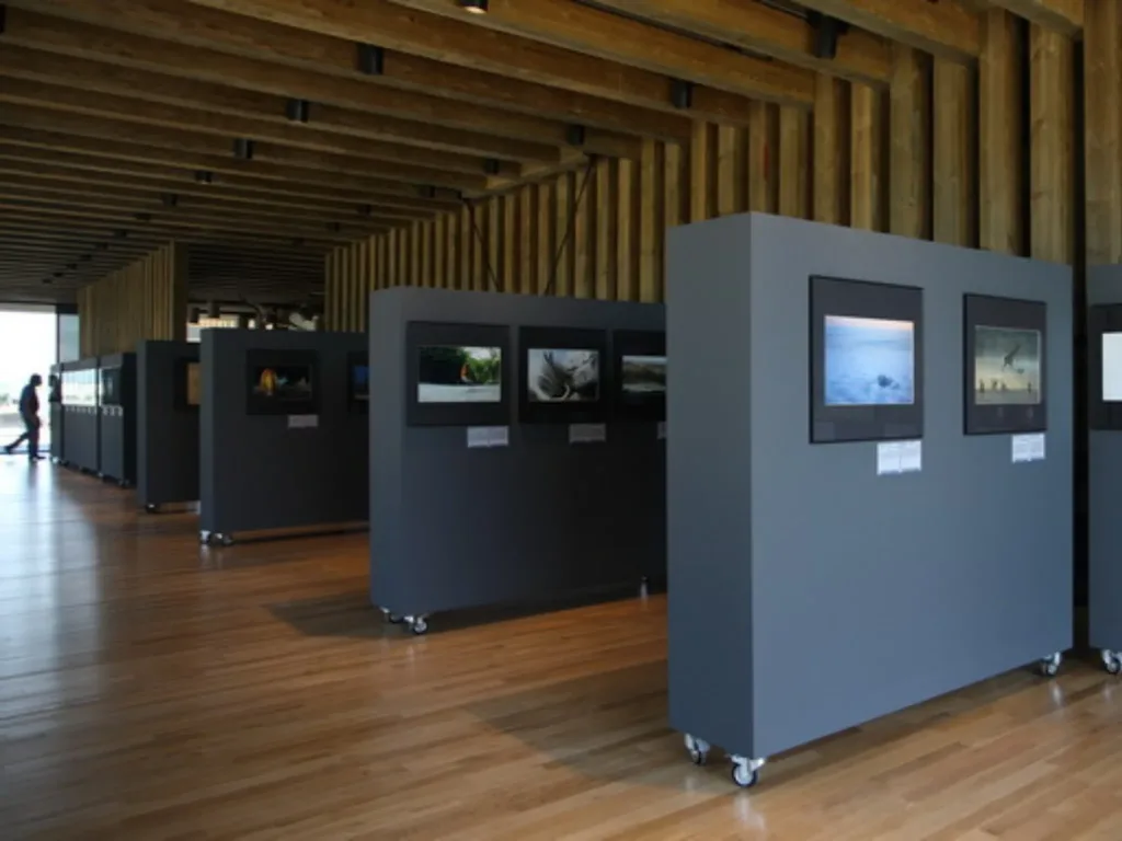 Ataria - Centro de Interpretación de los Humedales de Salburua