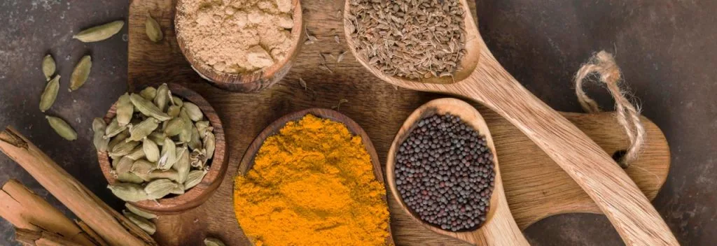 Ayurveda Para Ti
