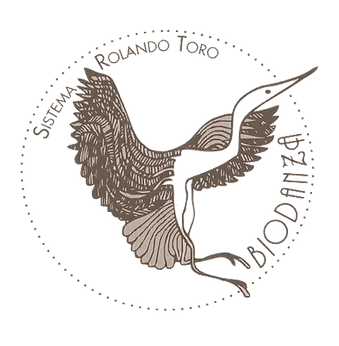 Biodanzart - Roberto Cifuentes