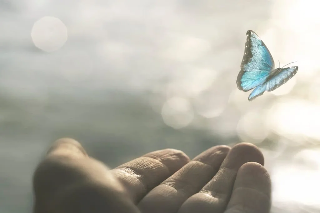 Centre de Mindfulness de Barcelona