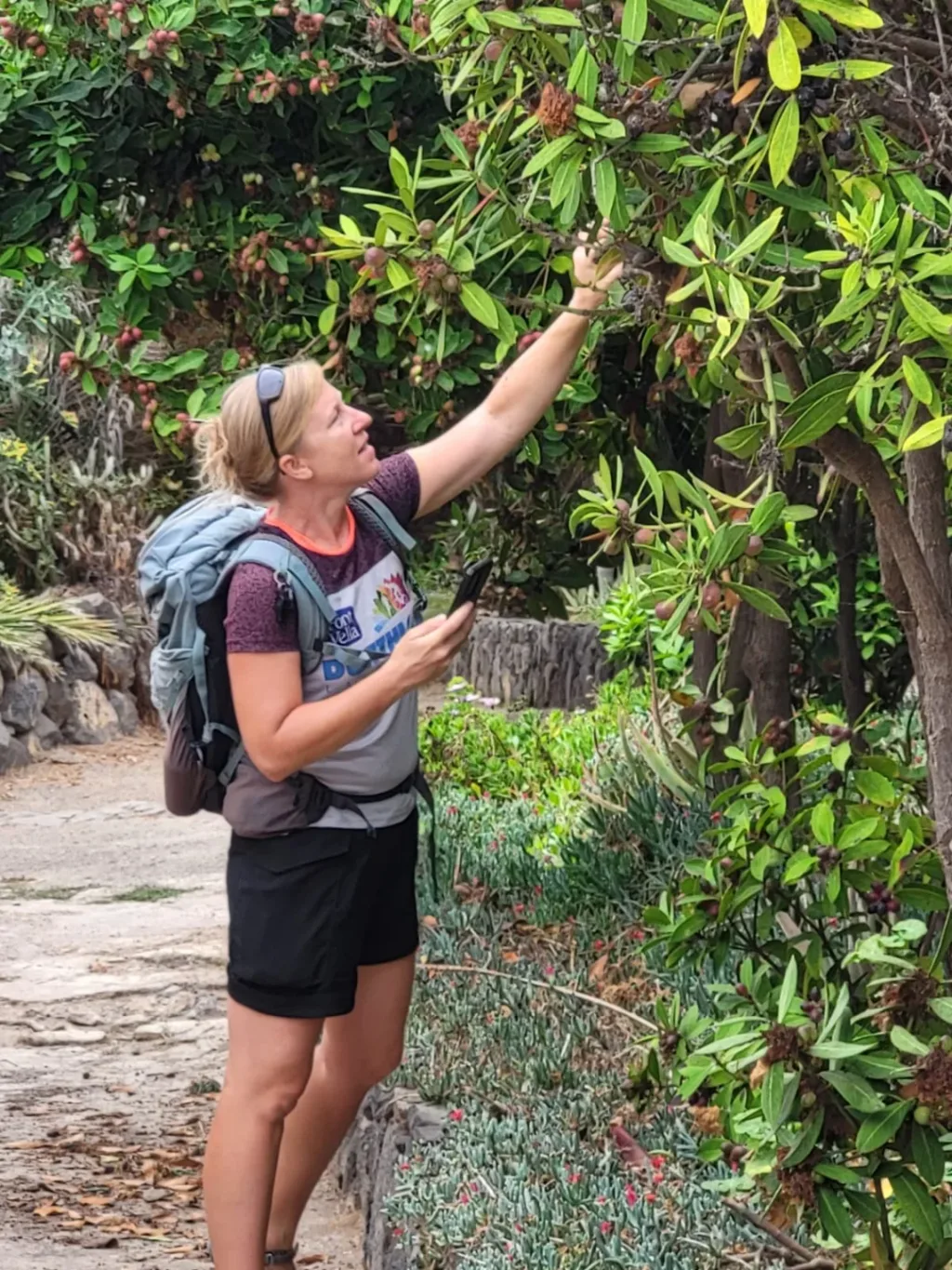 El Hierro Guide