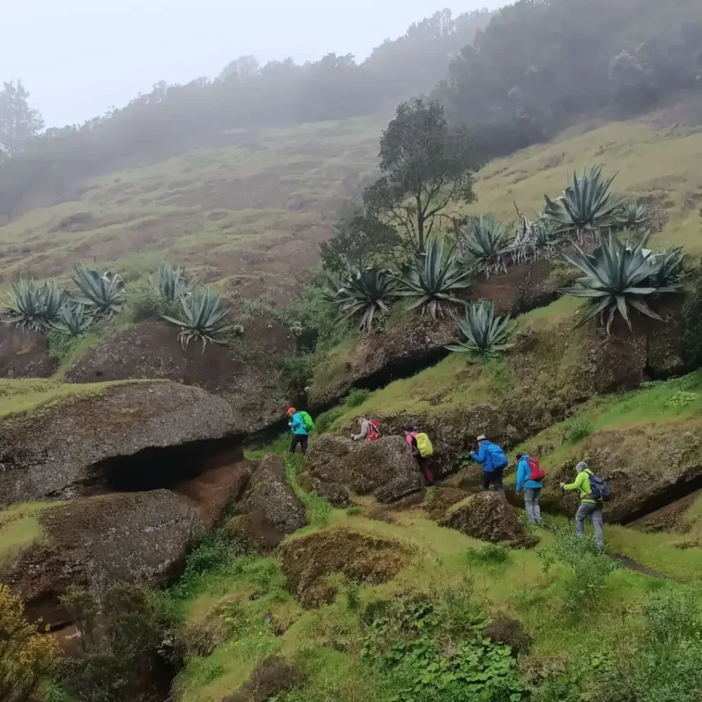 El Hierro Guide