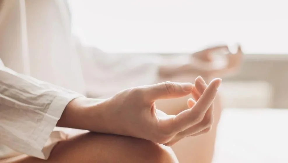 Estela Vega Mindfulness