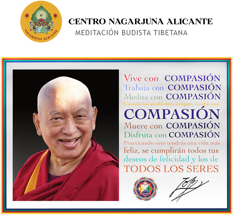 Nagarjuna Alicante