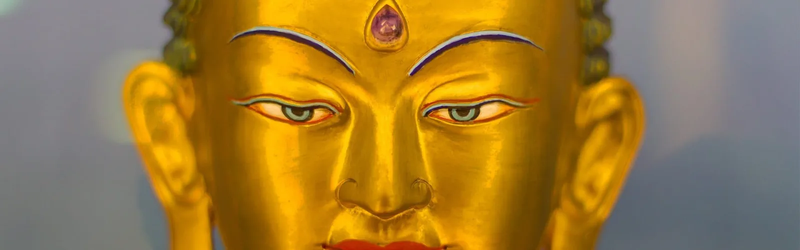 Nagarjuna Valencia