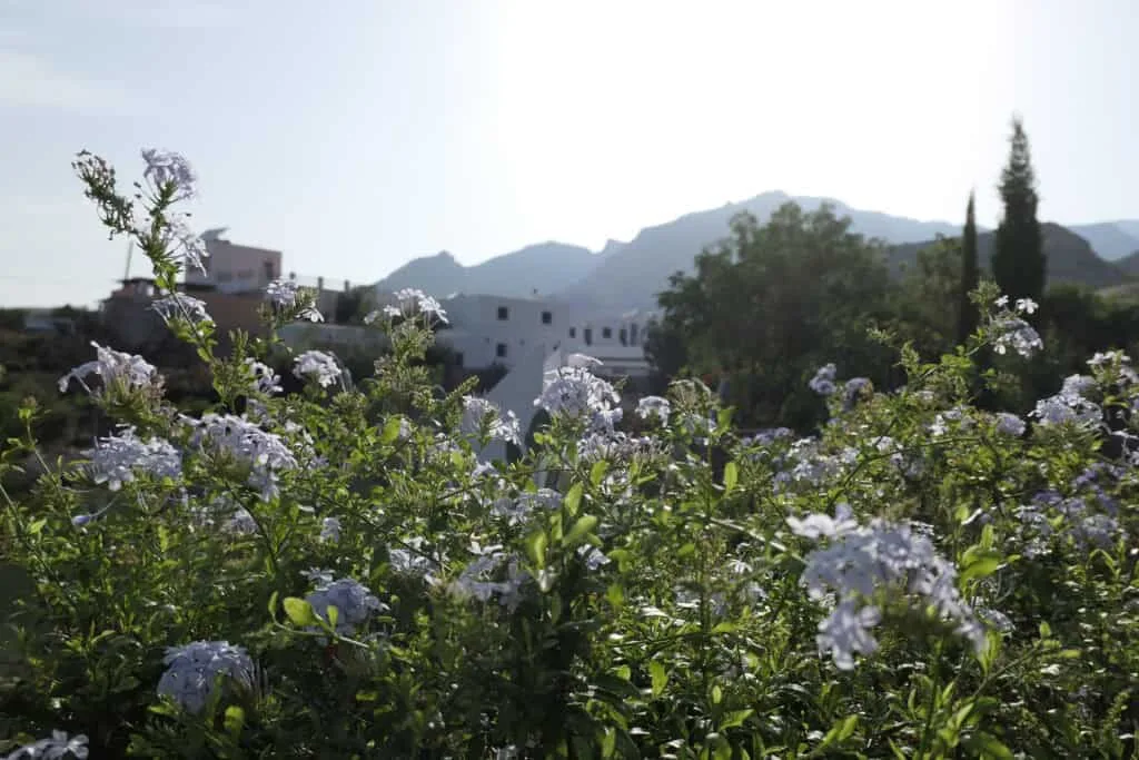 The Garden of Nâm
