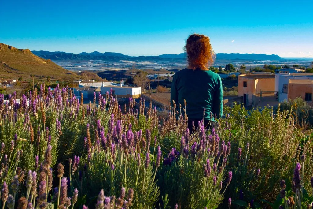 The Garden of Nâm