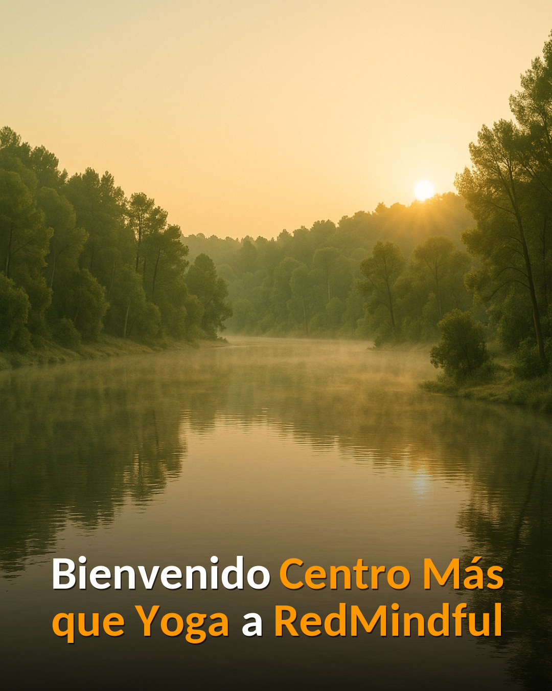 Centro Más que Yoga